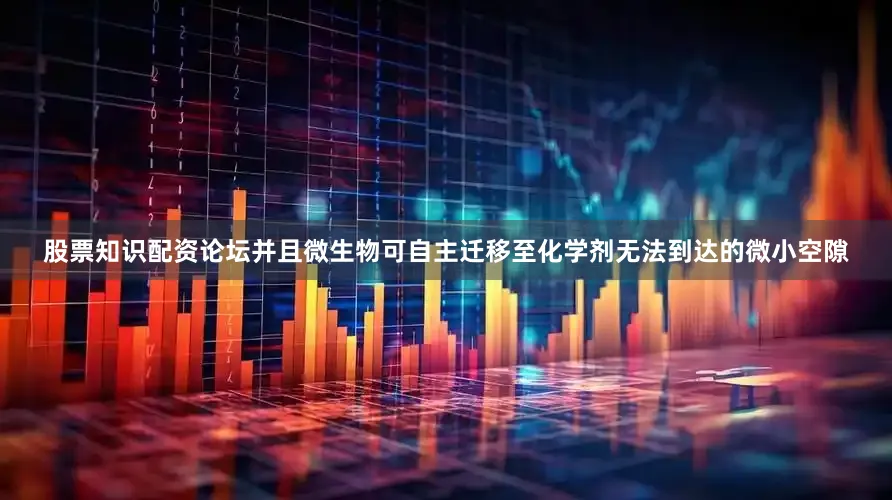 股票知识配资论坛并且微生物可自主迁移至化学剂无法到达的微小空隙