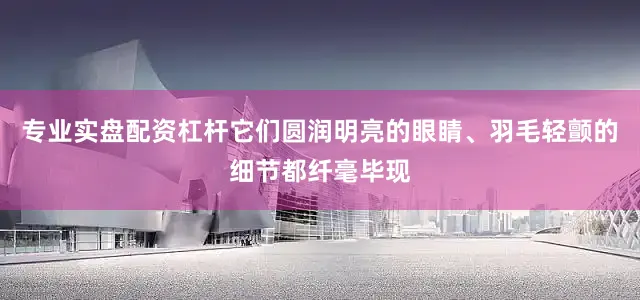 专业实盘配资杠杆它们圆润明亮的眼睛、羽毛轻颤的细节都纤毫毕现