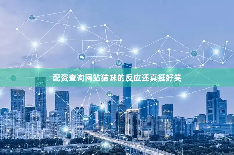 配资查询网站猫咪的反应还真挺好笑